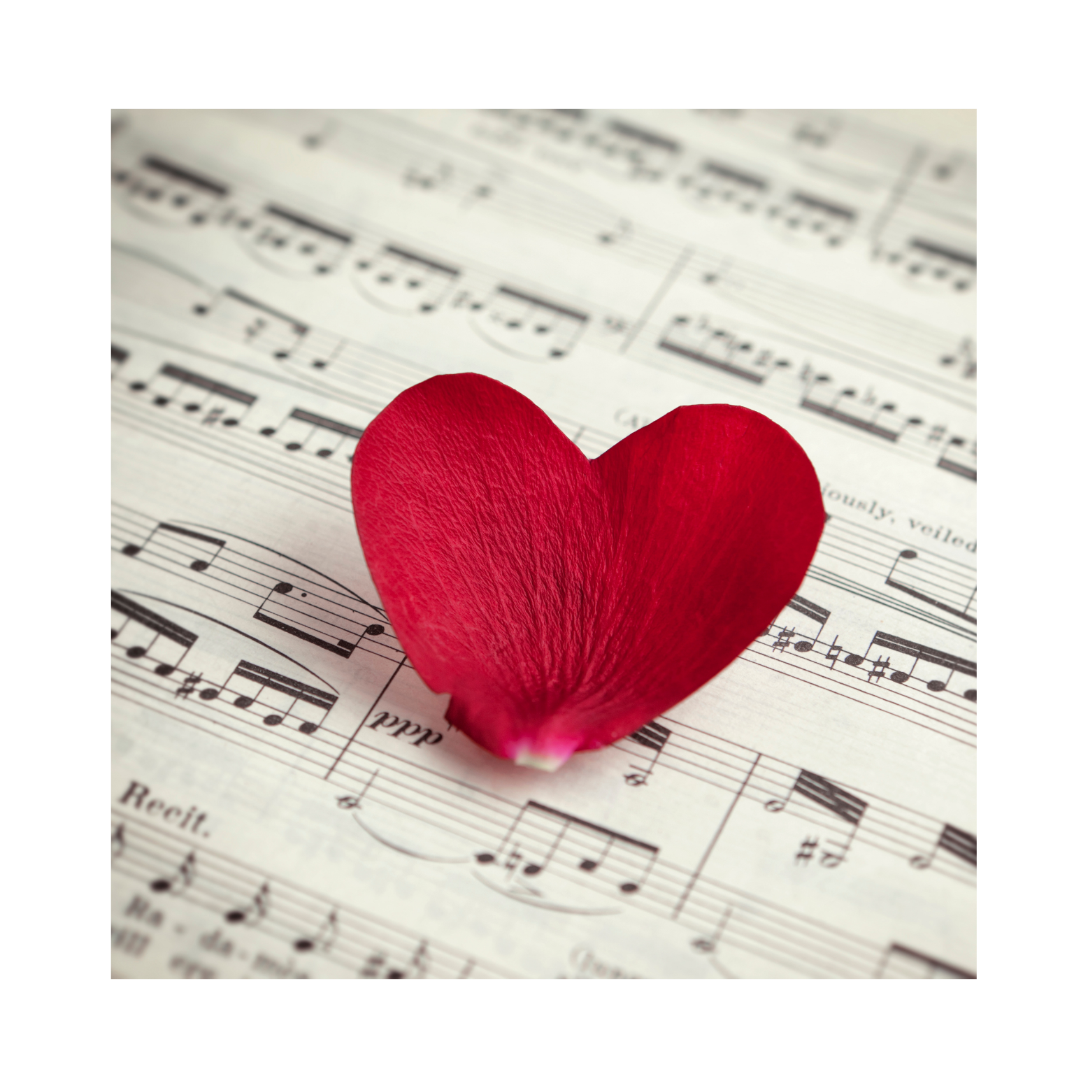 Funeral celebrant Adelaide providing compassionate services.